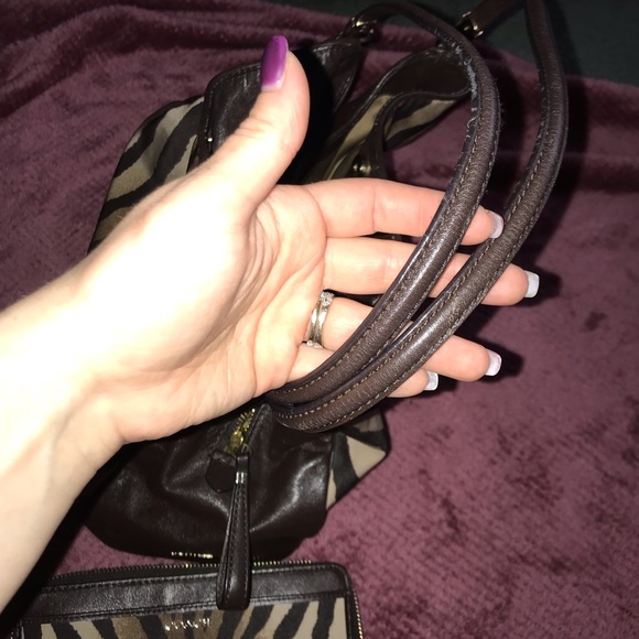 Coach Zebra print purse and wallet - Picture 5 of 5